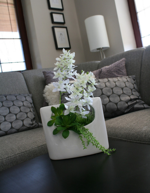 Keramická nádoba s miniorchidejemi — foto 5