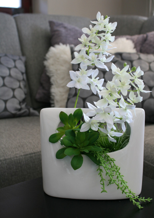 Keramická nádoba s miniorchidejemi — foto 4