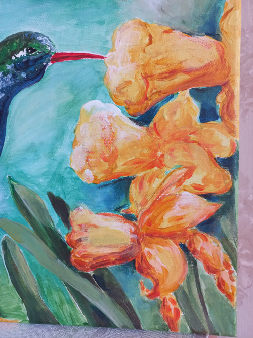 Kolibrík a narcisy — foto 4