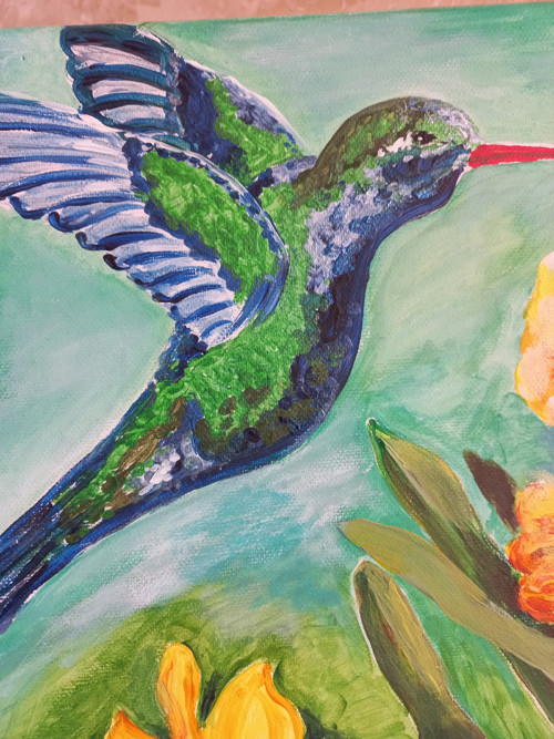 Kolibrík a narcisy — foto 5