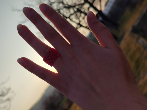 Prstýnek RUBÍNOVÝ LESK — foto 6