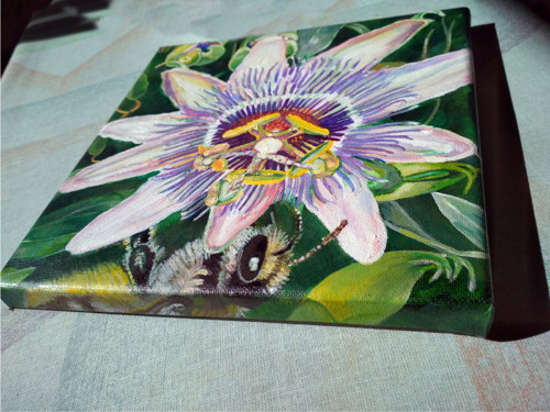Mučenka Passiflora — foto 2