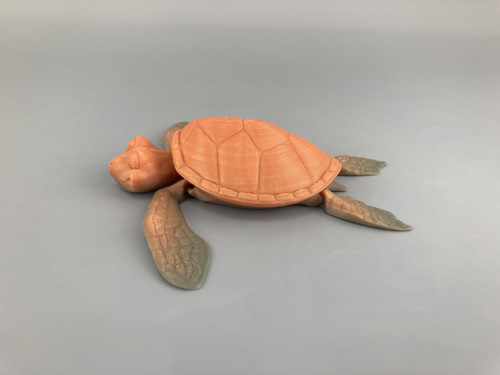Mořská želva, flexi hračka, 3D tisk — foto 4