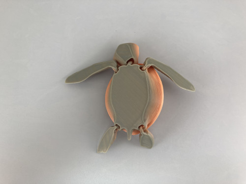 Mořská želva, flexi hračka, 3D tisk — foto 5