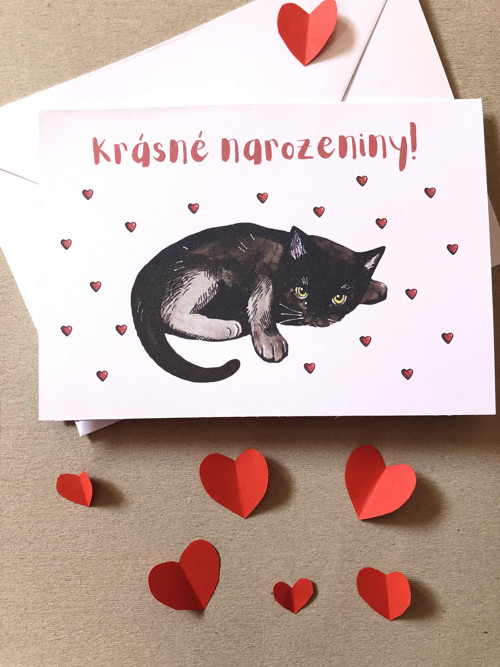 Blahopřání "Černá kočička" — foto 3