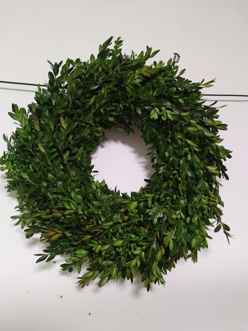 Prostě buxus — foto 2