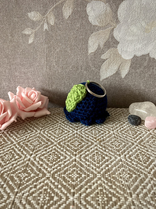 Klíčenka - borůvková chobotnice — foto 2