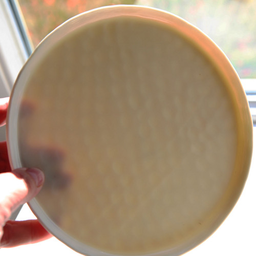 Talíř Celadon 17,5 cm porcelán — foto 3