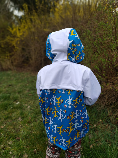O Pejskovi A Kočičce — foto 4