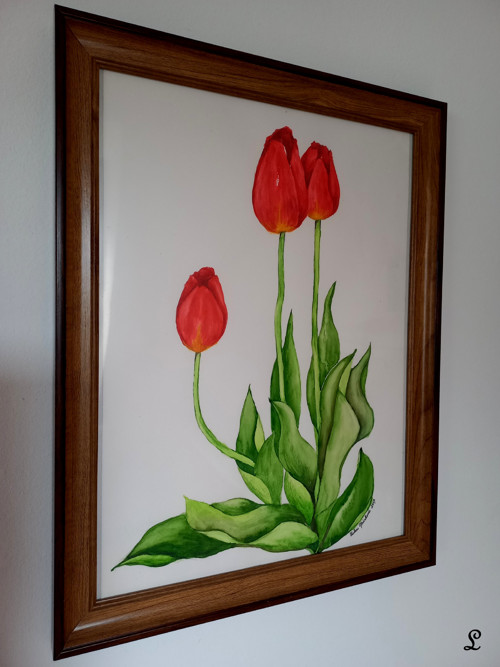 Červené tulipány — foto 2