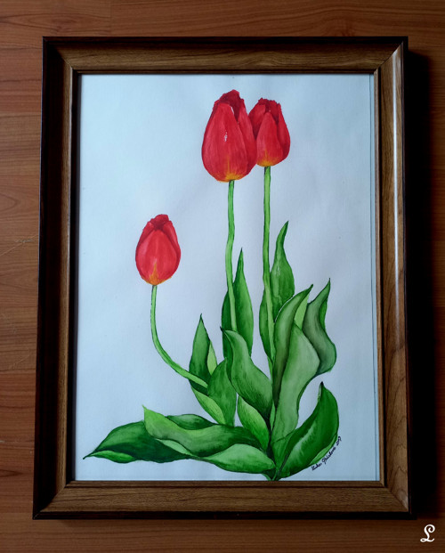 Červené tulipány — foto 3
