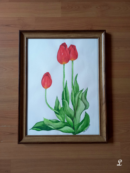Červené tulipány — foto 4