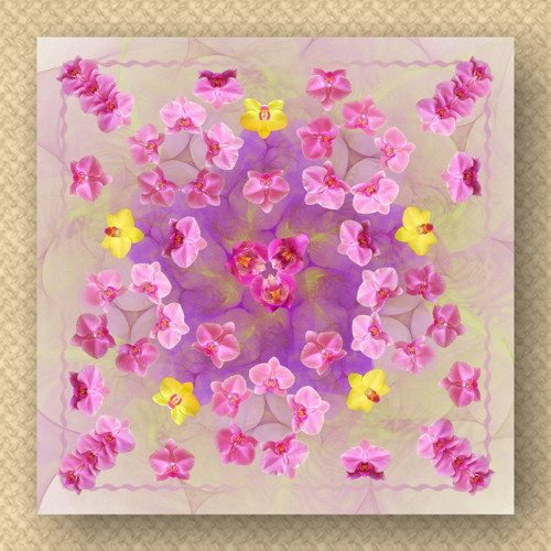 Orchidea - hedvábný šátek — foto 6