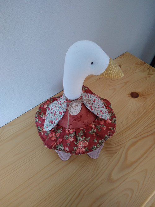 Husa domácí — foto 3
