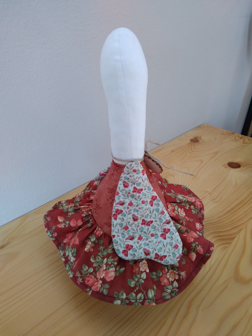 Husa domácí — foto 5