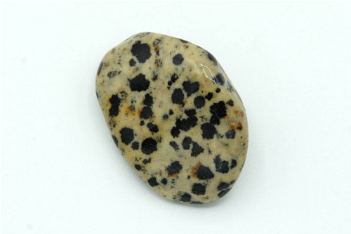Jaspis dalmatin 3,6 cm — foto 2