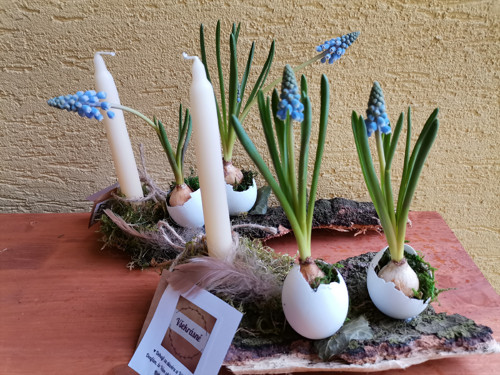 Jarní dekorace s modřenci — foto 2