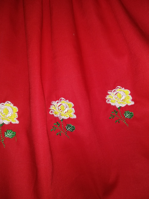 Sukně, sukýnka, kroj, folklor. — foto 2