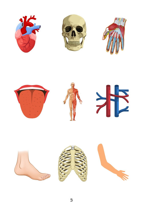 Lidské tělo, prostorová orientace — foto 3