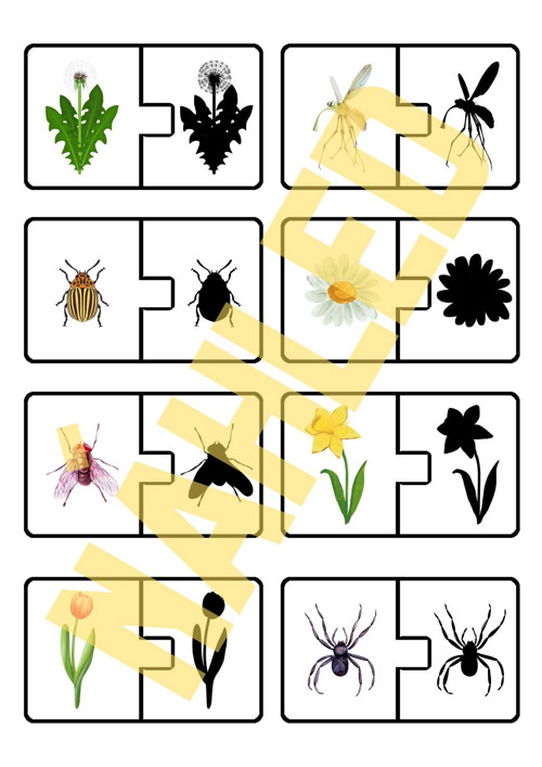 Na louce, stínové puzzle — foto 5