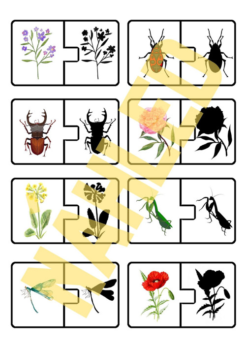 Na louce, stínové puzzle — foto 3
