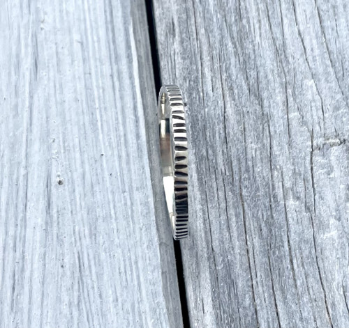 Kroužek zebra — foto 2