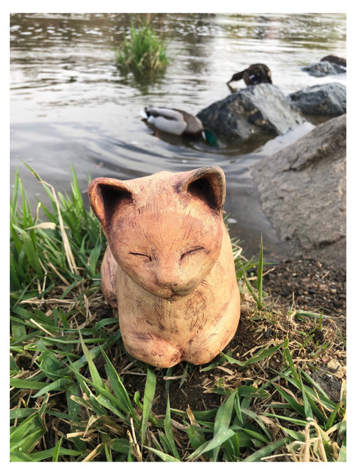 Kočička — foto 5