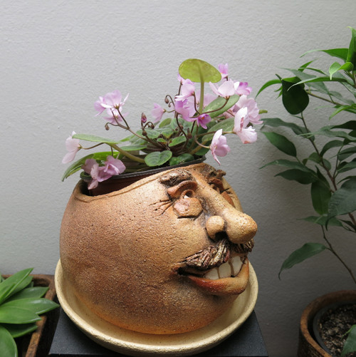 KVĚTNÍK-VALOUN..... — foto 3