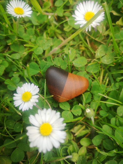 Hmatka - šestnáctka — foto 2