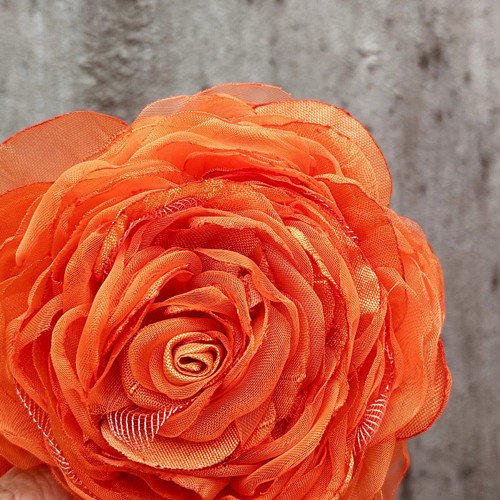 Orange — foto 2