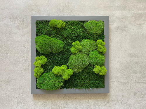 Mechový obraz 30x30cm — foto 2