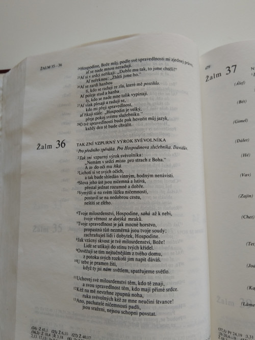 Bible — foto 3
