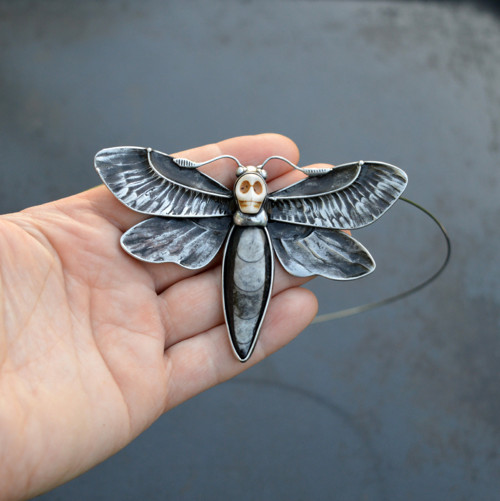 Acherontia atropos — foto 6