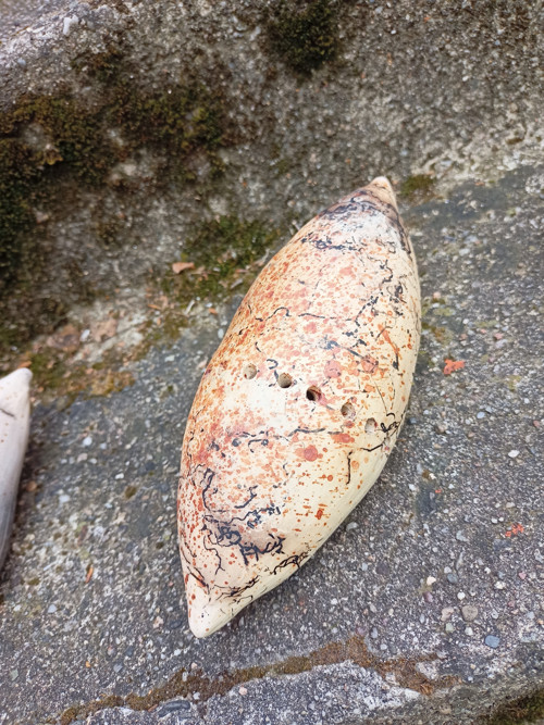 ŠIŠOID. RAKU. Horsehair III. — foto 3