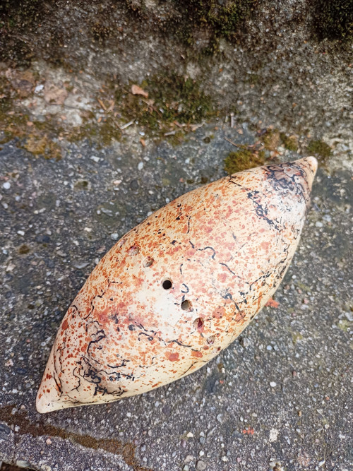ŠIŠOID. RAKU. Horsehair III. — foto 2