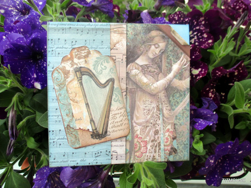 Vivat Musica! — foto 4