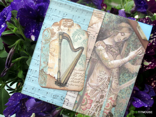 Vivat Musica! — foto 2