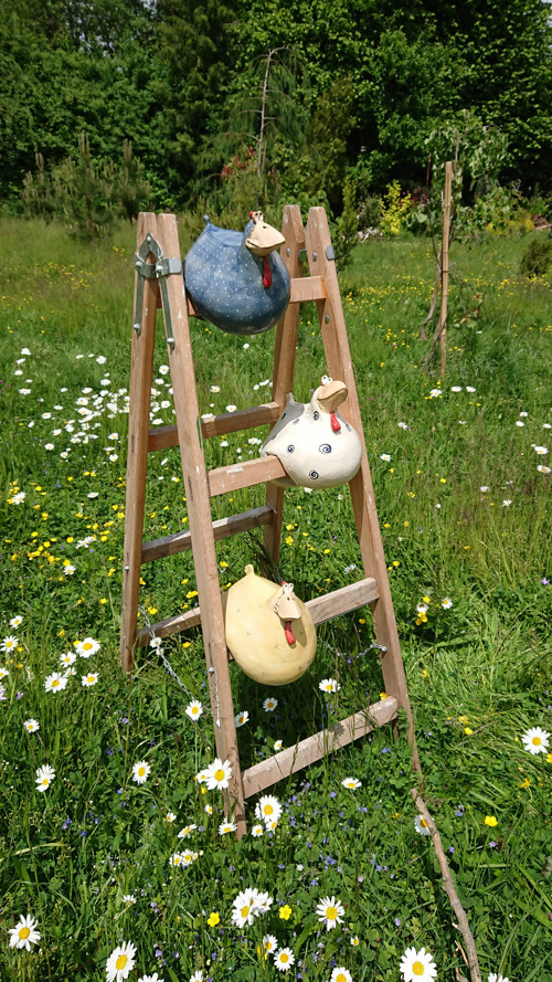 Kamošky pipky — foto 2