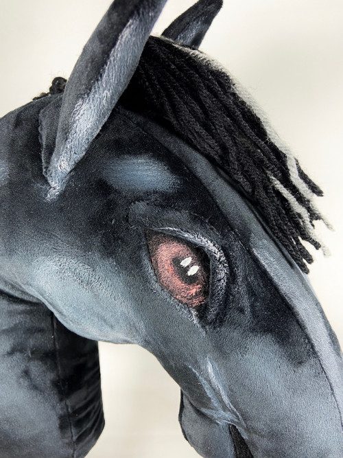 Balt vraník - Hobby horse — foto 4