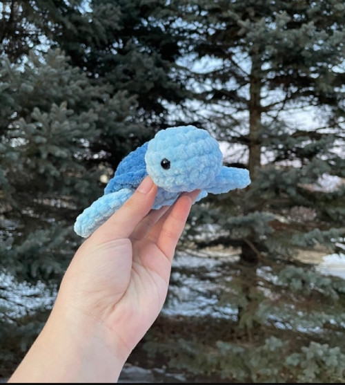 Crochet turtle <3 /háčkovaná želva — foto 2