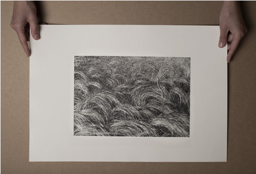 Litografie - V trávě — foto 2