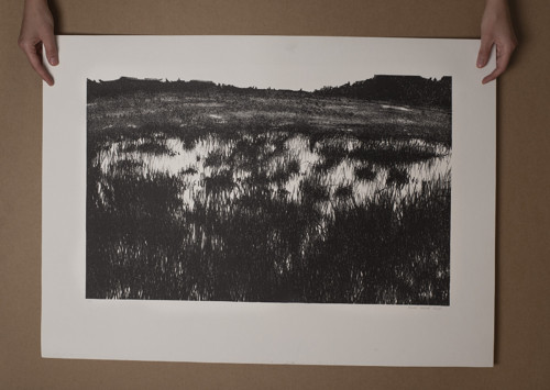 Litografie - Močál — foto 2