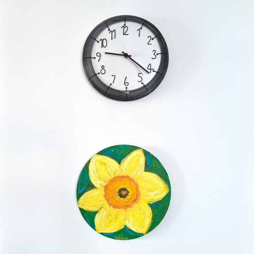 Narcis — foto 3
