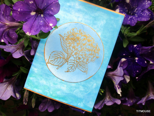 Hydrangea — foto 3