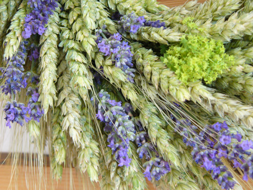Věnec Provence — foto 4