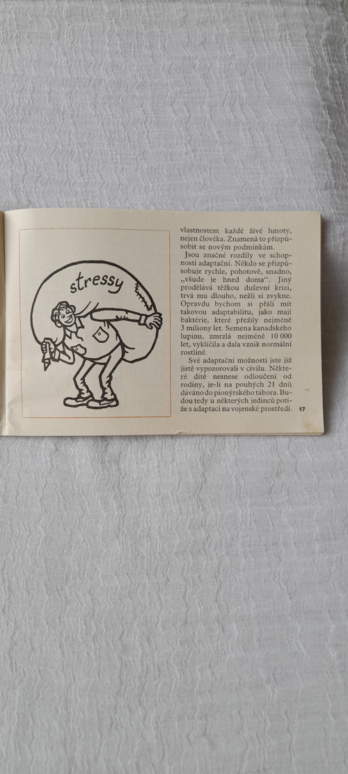 Za vojáčka ma vzali — foto 3