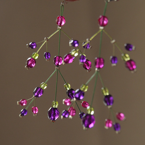 Fuchsijové rozvětvené — foto 2