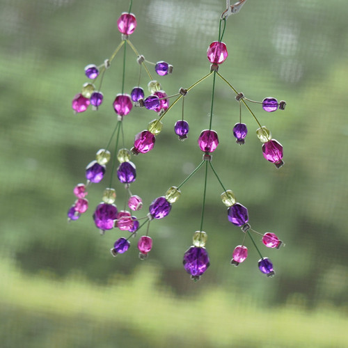 Fuchsijové rozvětvené — foto 3