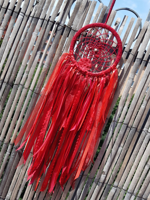 Red Hot Chilli — foto 4