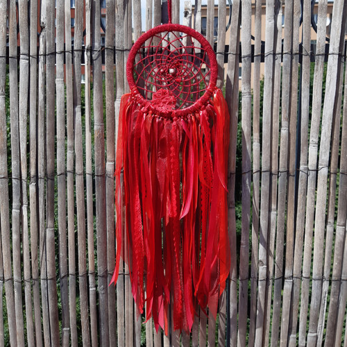 Red Hot Chilli — foto 5
